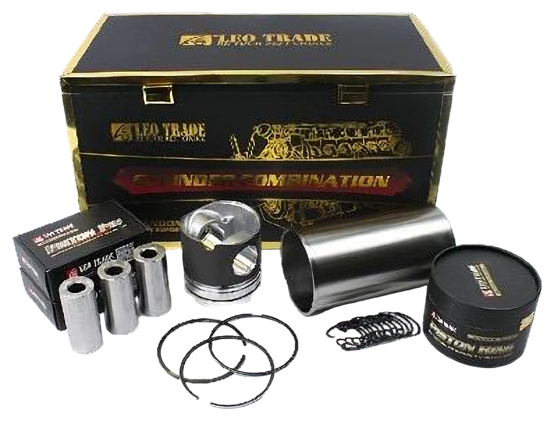 Genuine LEO cylinder combination